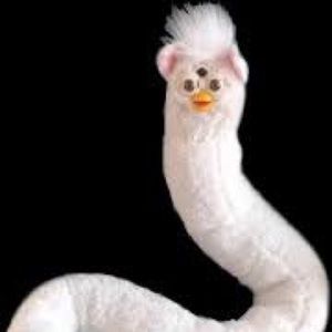 Meet your Posher, Allie